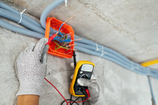 Best Licensed Electrician  in Laurel, FL